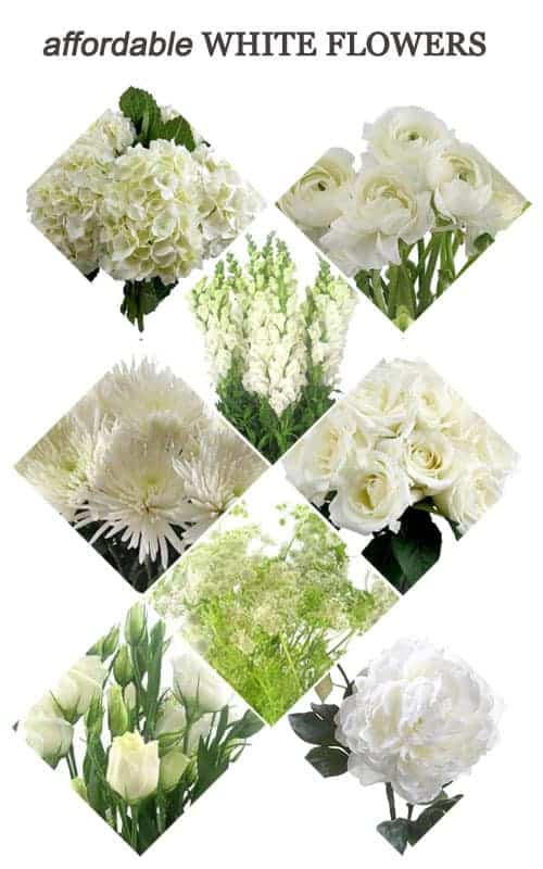 Affordable White Flowers for Your Wedding Kiss My Tulle