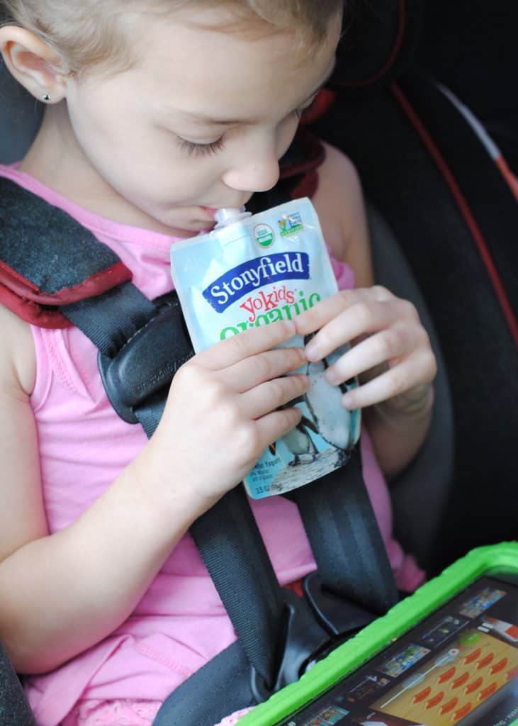AD 5 Tips for a Successful Road Trip with Kids #StonyfieldYoKids #travel #kids